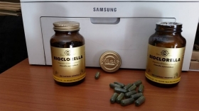 La Chlorella -     * Vincenzo Petrosino  *